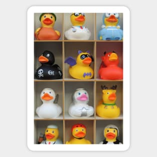 Which Rubber Duck for My Next Bath? Sticker